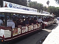 Trenino (34)